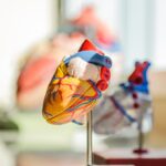 caries et risques cardiovasculaires
