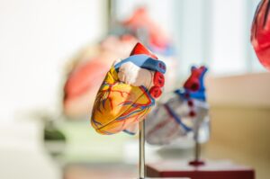 caries et risques cardiovasculaires