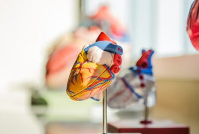 caries et risques cardiovasculaires